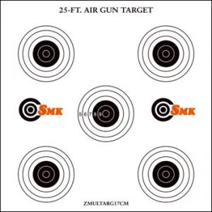 Air Gun Target  25ft 14cm card 100